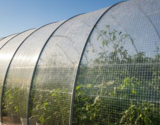 A close-up view of a greenhouse with reinforced film covering the structure, showcasing the texture and translucence of the material. In the foreground, details of the film's weave and how it reflects sunlight can be observed. The middle-ground features green plants thriving inside the greenhouse, emphasizing the effectiveness of the film in creating a suitable growing environment. The background includes a clear blue sky, enhancing the natural light effects. The image should be taken from a low angle, highlighting the height of the greenhouse while imbibing a sense of clarity and focus on the film's attributes. The atmosphere should feel vibrant and inviting, with natural colors dominating the scene, illustrating the practical applications of greenhouse films.